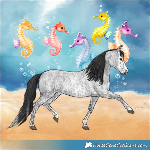 Horse Color:Blue Roan Sabino Splash  and Blue Roan Sabino Splash 