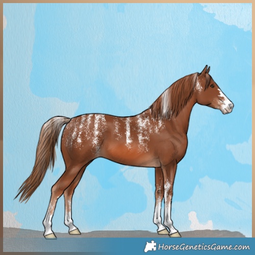 Horse Color:Powder White Chestnut 
