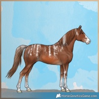 Horse Color:Powder White Chestnut 