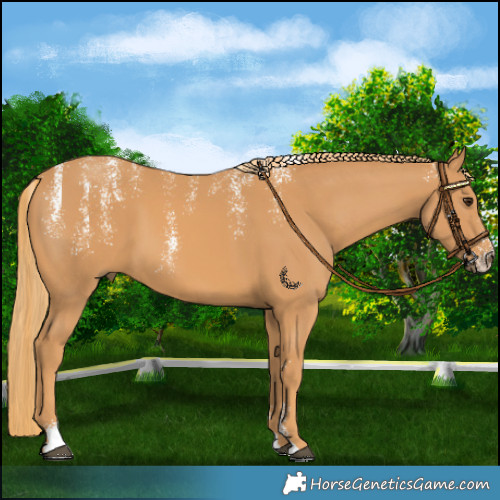 Horse Color:Powder White Chestnut 
