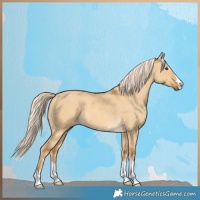 Horse Color:Palomino Dun 
