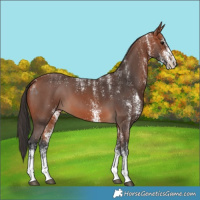 Horse Color:Powder White White Spotted Bay 
