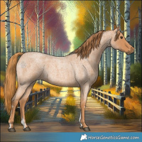 Horse Color:Powder White Red Roan 