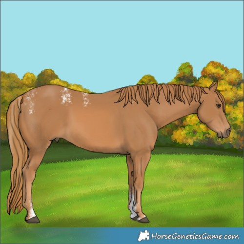 Horse Color:Powder White Chestnut