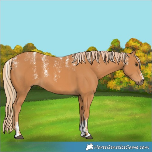 Horse Color:Powder White Chestnut 