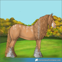 Horse Color:Powder White Chestnut 
