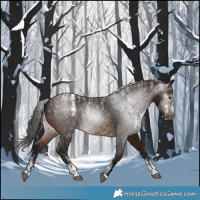 Horse Color:Powder White Gray Bay 
