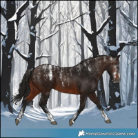Horse Color:Powder White Gray Bay