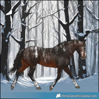 Horse Color:Powder White Gray Bay 