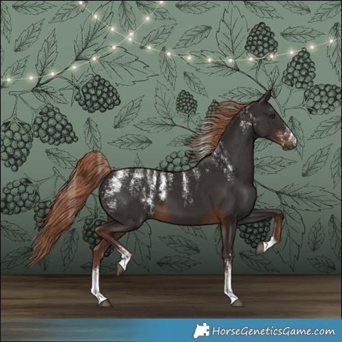 Horse Color:Powder White Liver Chestnut 