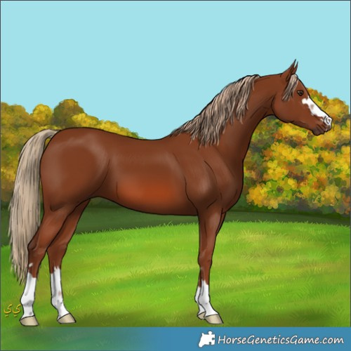 Horse Color:Unknown 