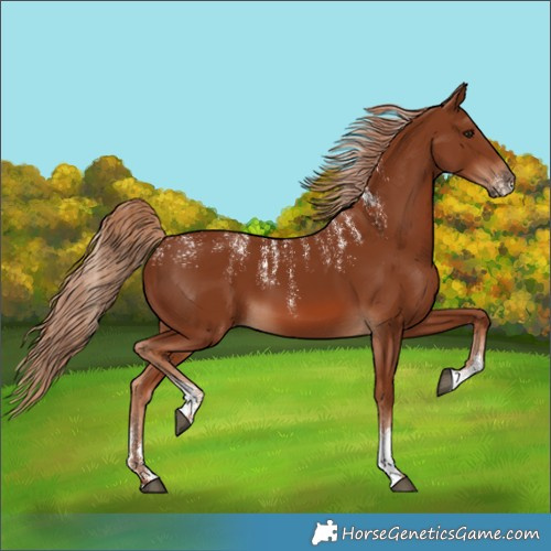 Horse Color:Powder White Chestnut 