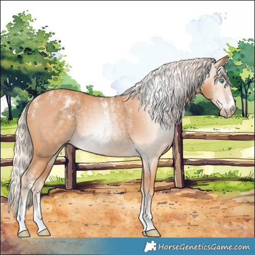 Horse Color:Powder White Gray Cremello 