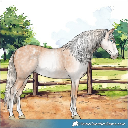 Horse Color:Powder White Gray Cremello 
