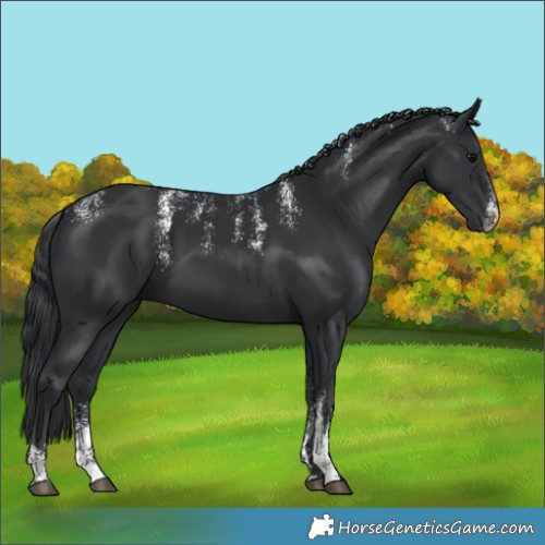 Horse Color:Powder White Black