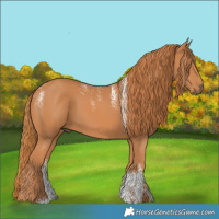 Horse Color:Powder White Chestnut 