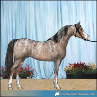 Horse Color:Powder White Liver Red Dun Roan Brindle