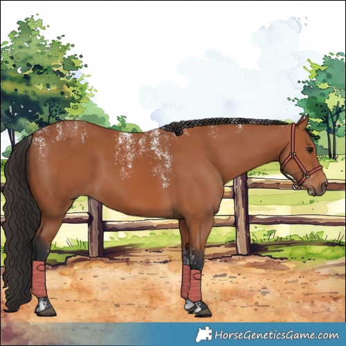 Horse Color:Powder White Bay