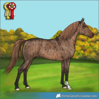 Horse Color:Liver Red Dun Brindle 