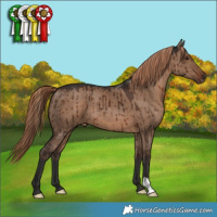 Horse Color:Liver Red Dun Brindle 