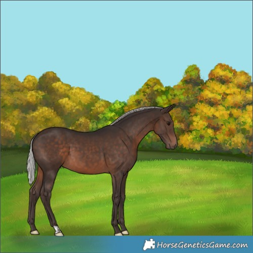 Horse Color:Silver Brown 