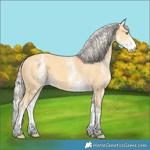 Horse Color:White Spotted Gold Cream Champagne 