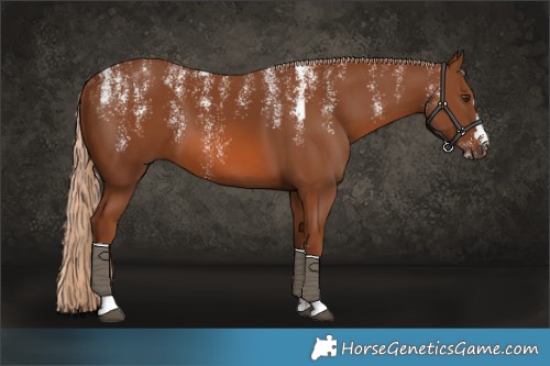 Horse Color:Powder White Chestnut 