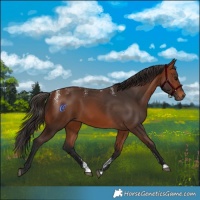 Horse Color:Powder White Bay