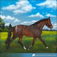Horse Color:Powder White Bay 