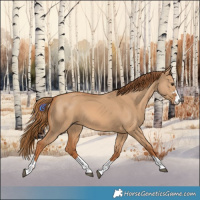 Horse Color:Red Dun
