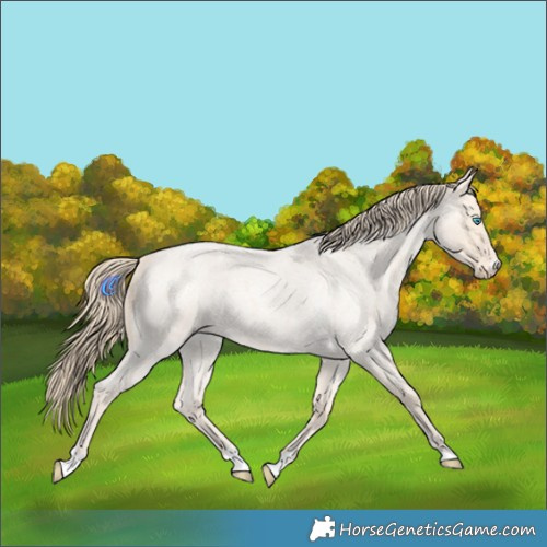 Horse Color:Perlino Roan Rabicano