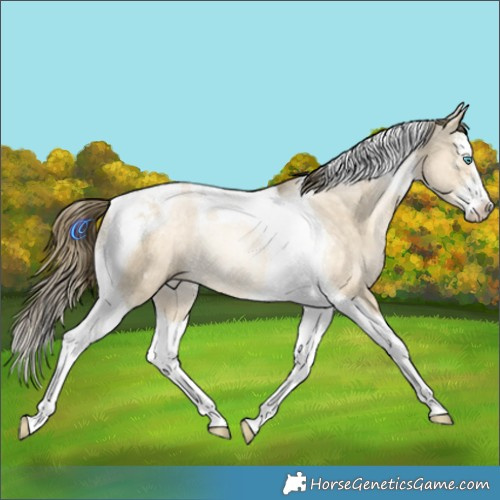 Horse Color:White Spotted Buckskin Pearl Dun Tobiano Rabicano 