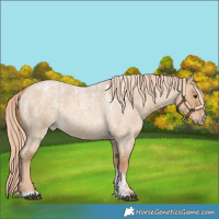 Horse Color:Powder White Red Dun Roan 