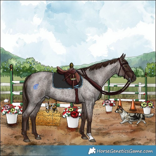 Horse Color:Liver Red Roan Rabicano