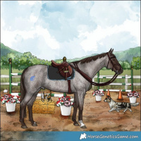Horse Color:Liver Red Roan Rabicano