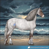 Horse Color:Silver Blue Roan Sabino Rabicano