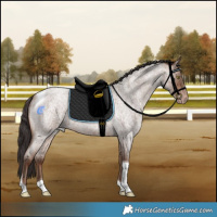 Horse Color:Sable Champagne Roan Tobiano Rabicano