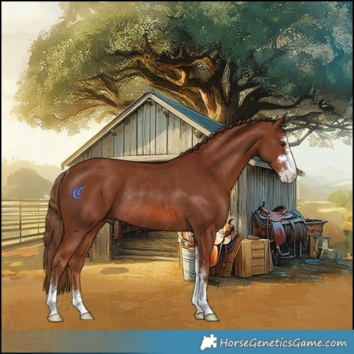 Horse Color:Chestnut Sabino Rabicano