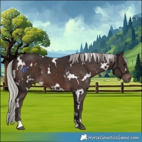 Horse Color:White Spotted Silver Brown 