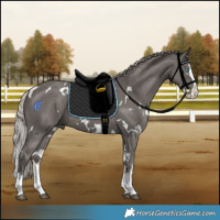 Horse Color:White Spotted Silver Black Sabino Splash Rabicano