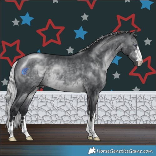 Horse Color:Silver Brown Chinchilla 