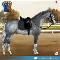 Horse Color:Silver Brown Chinchilla
