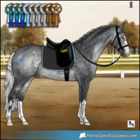 Horse Color:Silver Brown Chinchilla 