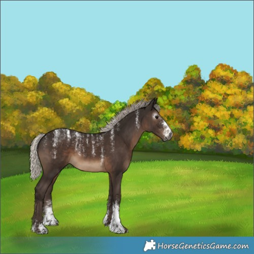 Horse Color:Powder White Gray Silver Black 