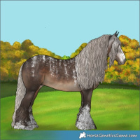 Horse Color:Powder White Gray Silver Black 