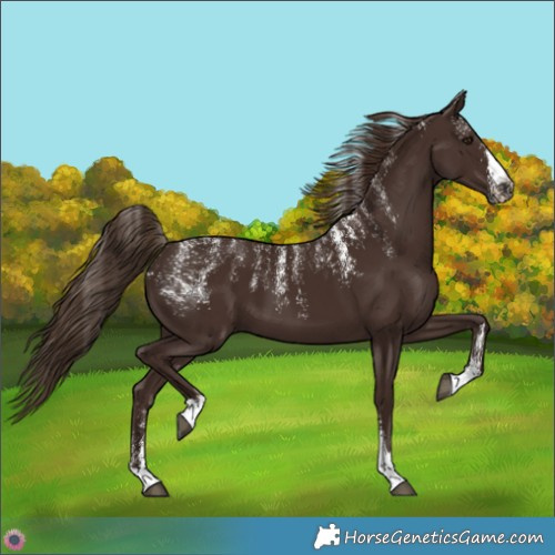 Horse Color:Powder White Liver Chestnut 