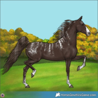 Horse Color:Powder White Liver Chestnut