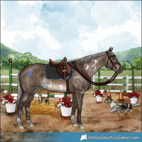Horse Color:White Spotted Silver Brown Dun Tobiano Rabicano