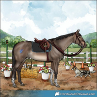 Horse Color:Brown Dun Tobiano Rabicano 