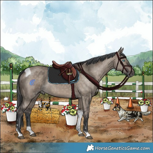 Horse Color:Brown Dun Merle Tobiano Rabicano 